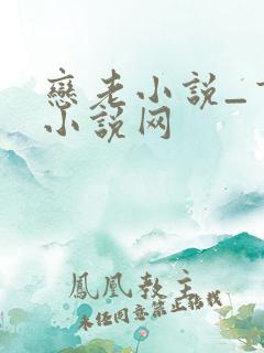 恋老小说_言情小说网