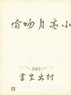 偷吻月亮小说