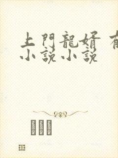 上门龙婿 有声小说小说