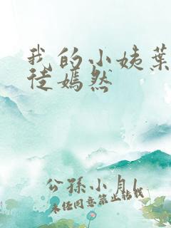 我的小姨叶凡司徒嫣然