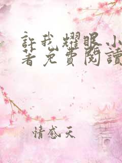 许我耀眼小说原著免费阅读
