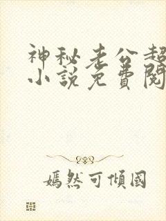 神秘老公超级甜小说免费阅读全文