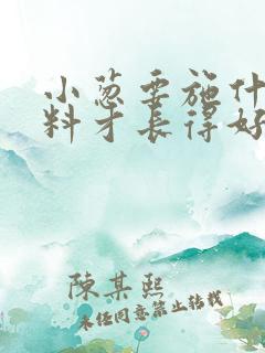 小葱要施什么肥料才长得好