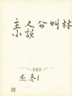 主人公叫林羽的小说