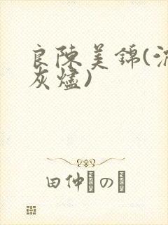良陈美锦(沉香灰烬)