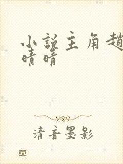 小说主角赵旭李晴晴