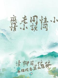 恋老同性小说言情小说网