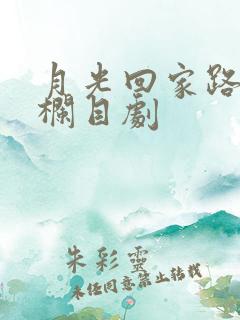 月光回家路普法栏目剧
