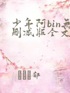 少年阿bin无删减版全文阅读