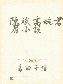 陈斌高婉君赵心眉小说
