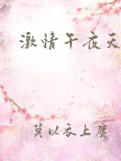 激情午夜天小说