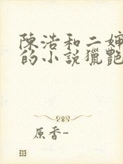 陈浩和二婶陈丽的小说猎艳人生