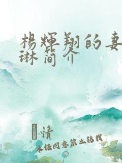 杨辉翔的妻子陈琳简介