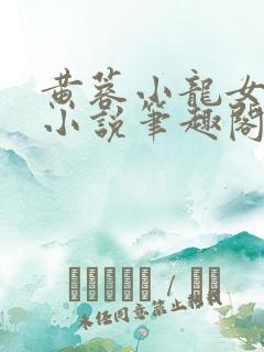 黄蓉小龙女系列小说笔趣阁免费阅读