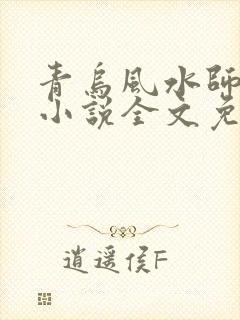 青乌风水师洛少小说全文免费阅读