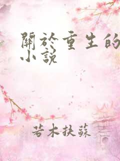 关于重生的现代小说