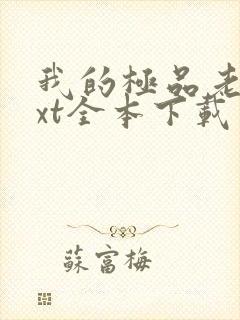 我的极品老婆txt全本下载