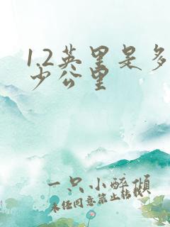 1.2英里是多少公里