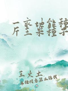 一亩地能种多少斤玉米种子