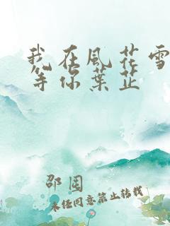 我在风花雪月里等你叶芷