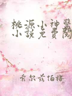 桃源小神医王晨小说免费阅读