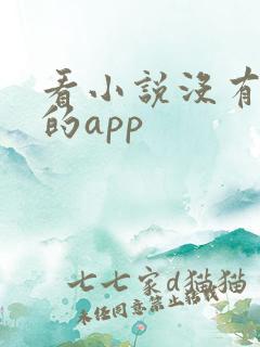 看小说没有广告的app