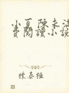 小夏 陈未满免费阅读小说