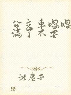 公交车嗯嗯啊啊满了不要