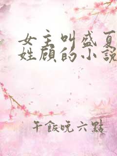 女主叫盛夏男主姓顾的小说