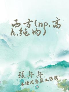 西方(np,高h,纯肉)