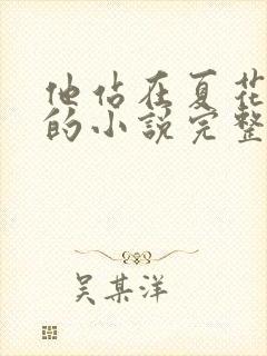 他站在夏花绚烂的小说完整