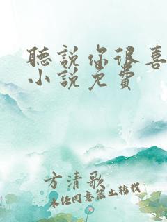 听说你很喜欢我小说免费