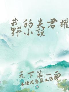 我的夫君权倾朝野小说