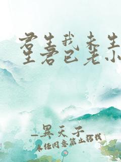 君生我未生,我生君已老小说
