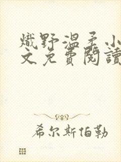 炽野温柔小说全文免费阅读