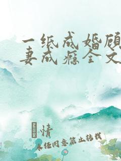 一纸成婚顾少宠妻成瘾全文免费阅读