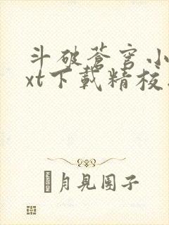 斗破苍穹小说txt下载精校版