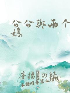 公公与两个好儿媳