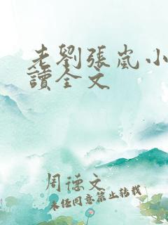 老刘张岚小说阅读全文