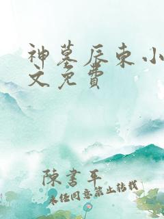 神墓辰东小说全文免费