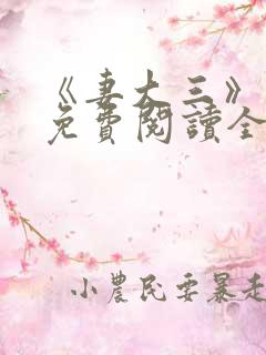 《妻大三》小说免费阅读全文