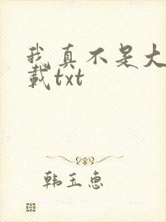 我真不是大佬下载txt