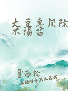 大豆专用除草剂不伤苗