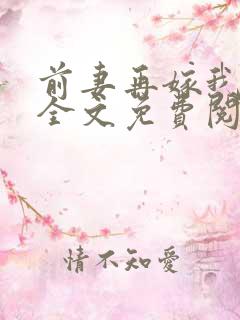 前妻再嫁我一次全文免费阅读