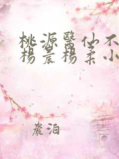 桃源医仙不风流杨晨杨柔小说正版阅读