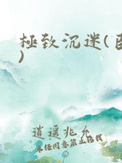 极致沉迷(臣年)