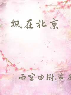 飘在北京