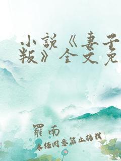 小说《妻子的背叛》全文免费阅读