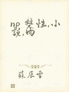 np 双性,小说,肉