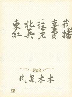 东北往事我叫赵红兵免费播放